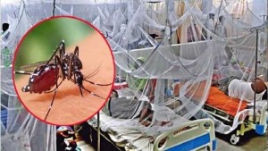 ডেঙ্গুতে আরও ৩ জনের মৃত্যু হাসপাতালে ভর্তি ৪১১ জন