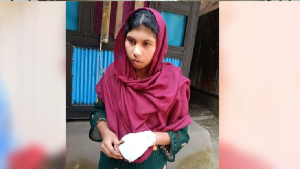 হত্যার পর গৃহকর্মী আয়েশাকে পালাতে সহায়তা করে তার স্বামী