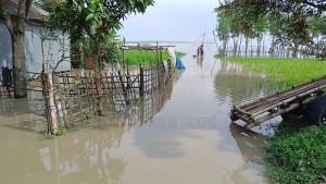 লালমনিরহাটে তিস্তার পানি বিপৎসীমার নিচে, ভেসে উঠছে বন্যার ক্ষত