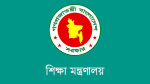 প্রাথমিকে অনলাইন ক্লাস নেয়ার পরিকল্পনা নেই: শিক্ষা প্রতিমন্ত্রী