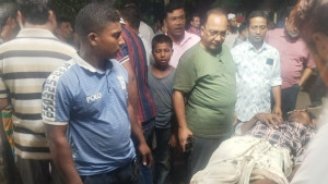 কিশোরগঞ্জে কুকুরের কামড়ে আহত ৫০, আতঙ্কে এলাকাবাসী