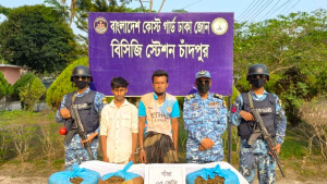 চাঁদপুরে ৫ কেজি গাঁজাসহ ২ পাচারকারী আটক