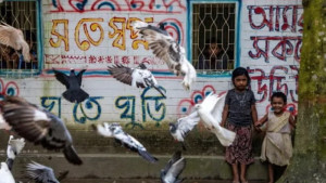 জন্মসনদ পেল যৌনপল্লির ৭০০ শিশু