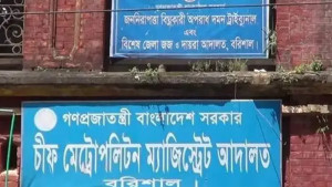 আওয়ামী লীগ নেতার জামিন নিয়ে লঙ্কাকাণ্ড: এজলাসে হট্টগোল