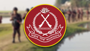 বিজিবির অভিযানে বিপুল পরিমাণ ভারতীয় মদ ও ফেয়ারডিল জব্দ