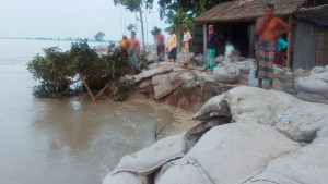 তিস্তার ভাঙনে হুমকিতে ঘরবাড়ি, স্কুল ও ফসলি জমি