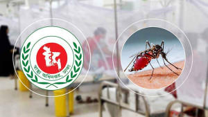 ২৪ ঘণ্টায় ডেঙ্গুতে ২ জনের মৃত্যু, আক্রান্ত ১৫৭