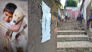 বাগেরহাটে কুমিরের আক্রমণ, প্রাণ হারাল ৭ বছরের ফাতেমা