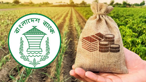 কৃষকদের জন্য ঋণ সহজীকরণে নতুন নির্দেশনা দিয়েছে বাংলাদেশ ব্যাংক