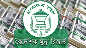 এডিবির ঋণে দেশের রিজার্ভ ৩৫ বিলিয়ন ডলারে ছড়াল