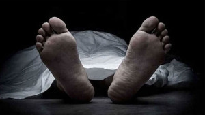 মাগুরায় বাস ধাক্কায় নিহত ভ্যানচালক