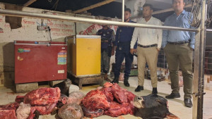 মরা গরুর মাংস বিক্রি, ১০ মণ জব্দ ও জরিমানা